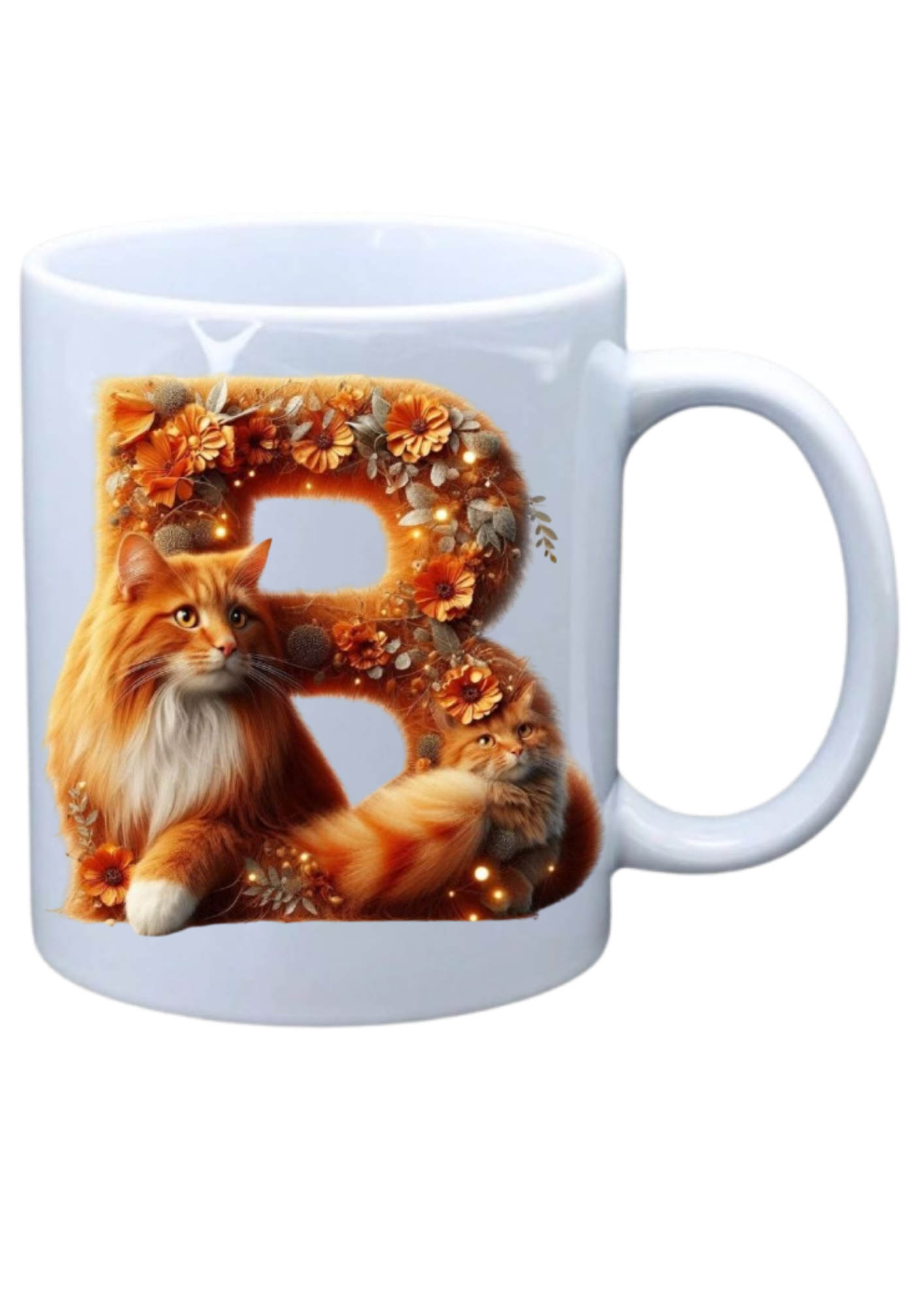 Ginger Cat - B