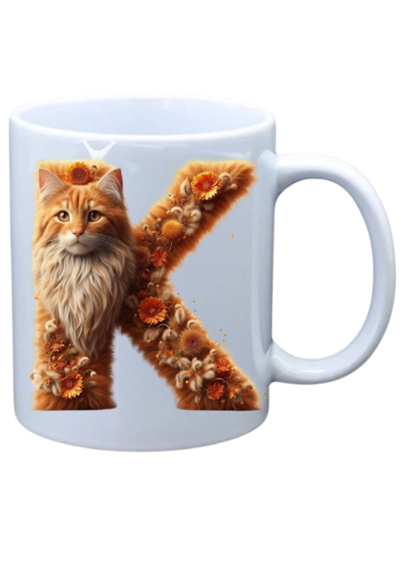 Ginger Cat - K