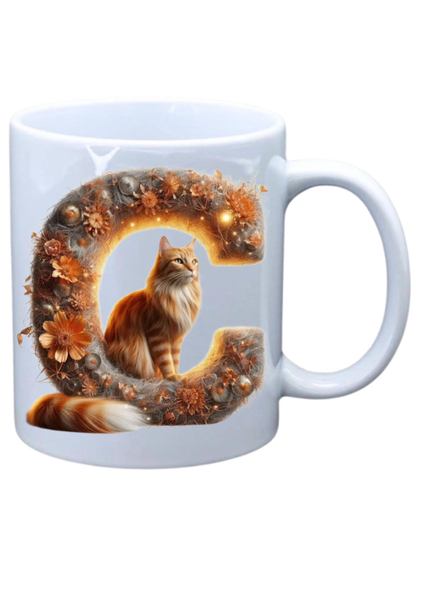 Ginger Cat - C