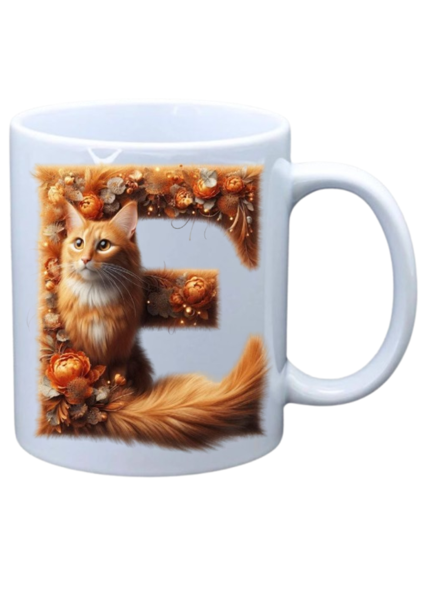 Ginger Cat - E