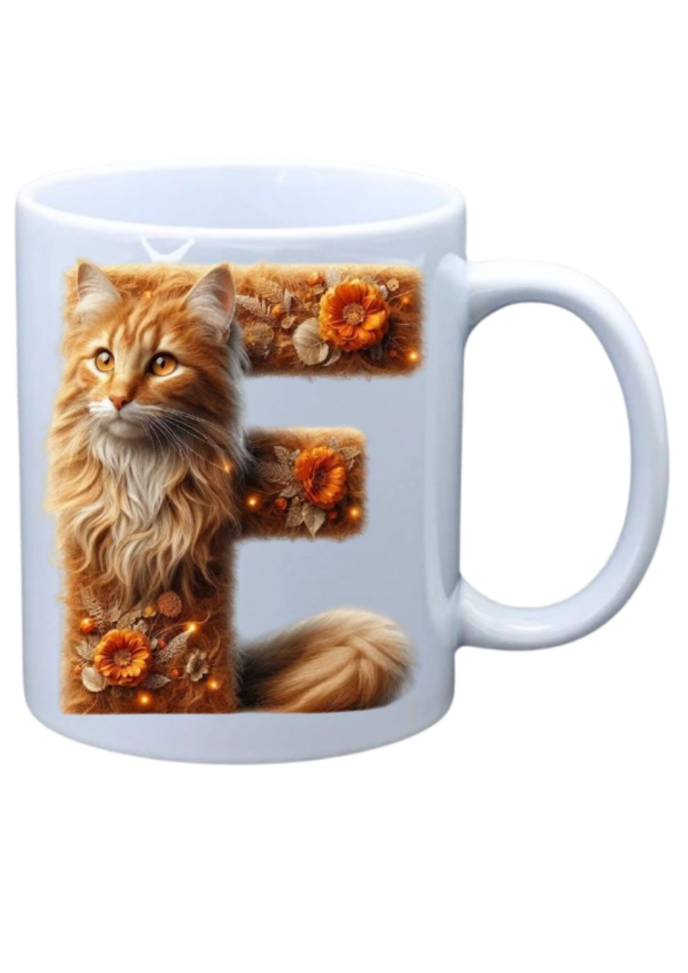 Ginger Cat - F
