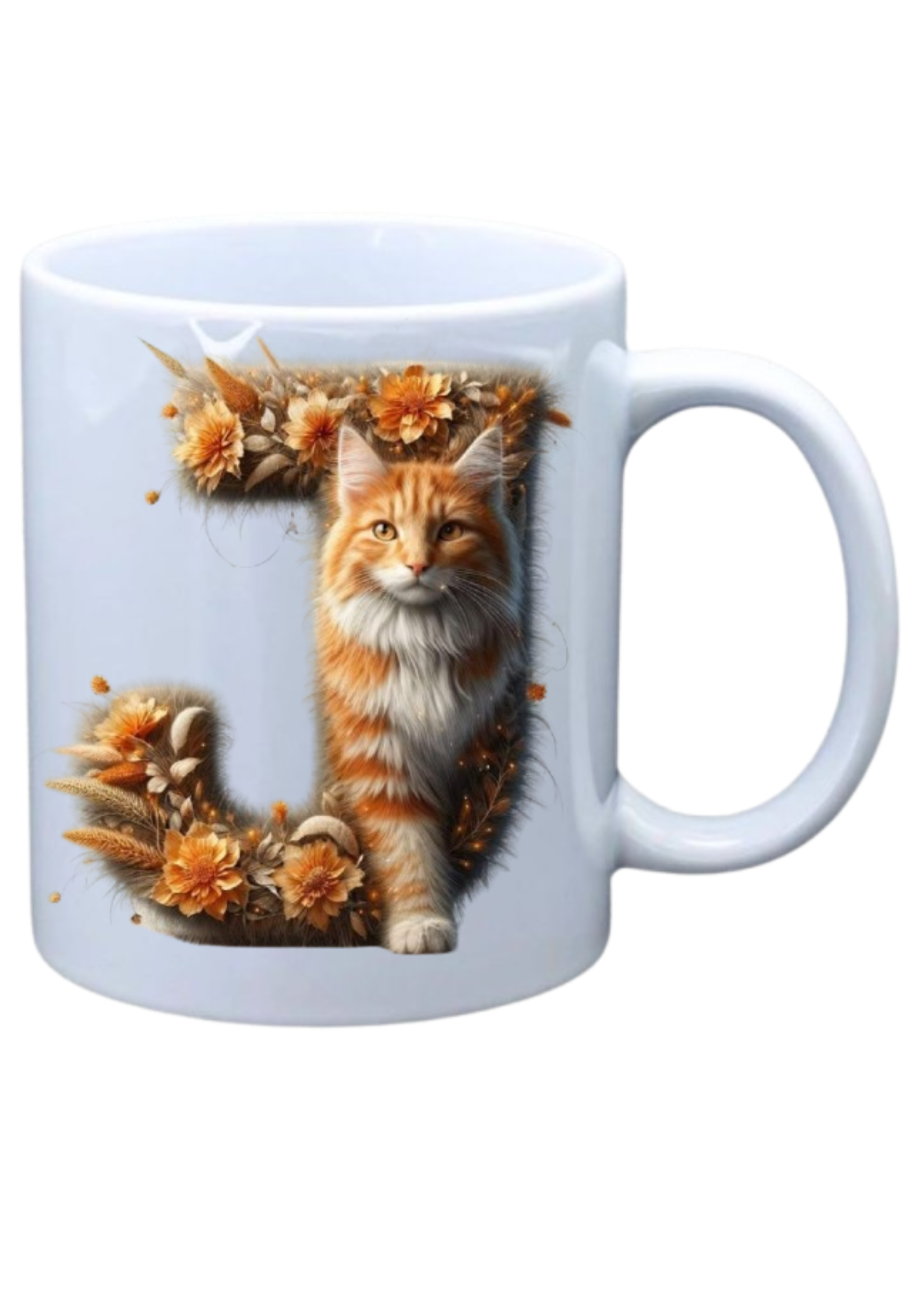 Ginger Cat - J