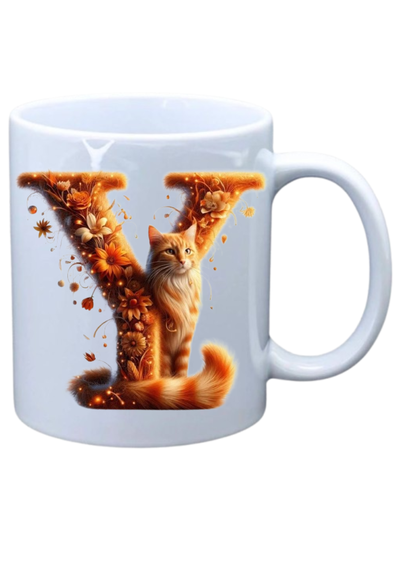 Ginger Cat - Y
